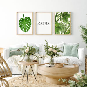 Set Cuadros Calma