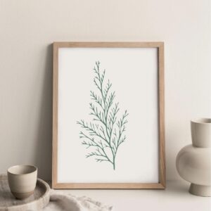Cuadro con lámina Flores Silvestres