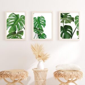 Set Cuadros Monstera