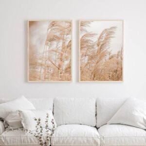 Set Cuadros Pampa Grass